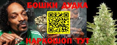 крисы Балаково