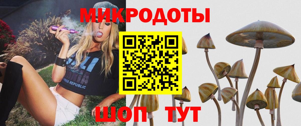 Псилоцибиновые грибы Psilocybe  Псилоцибиновые грибы прущие грибы  Вход с VPN  купить наркотики сайты  Аша 